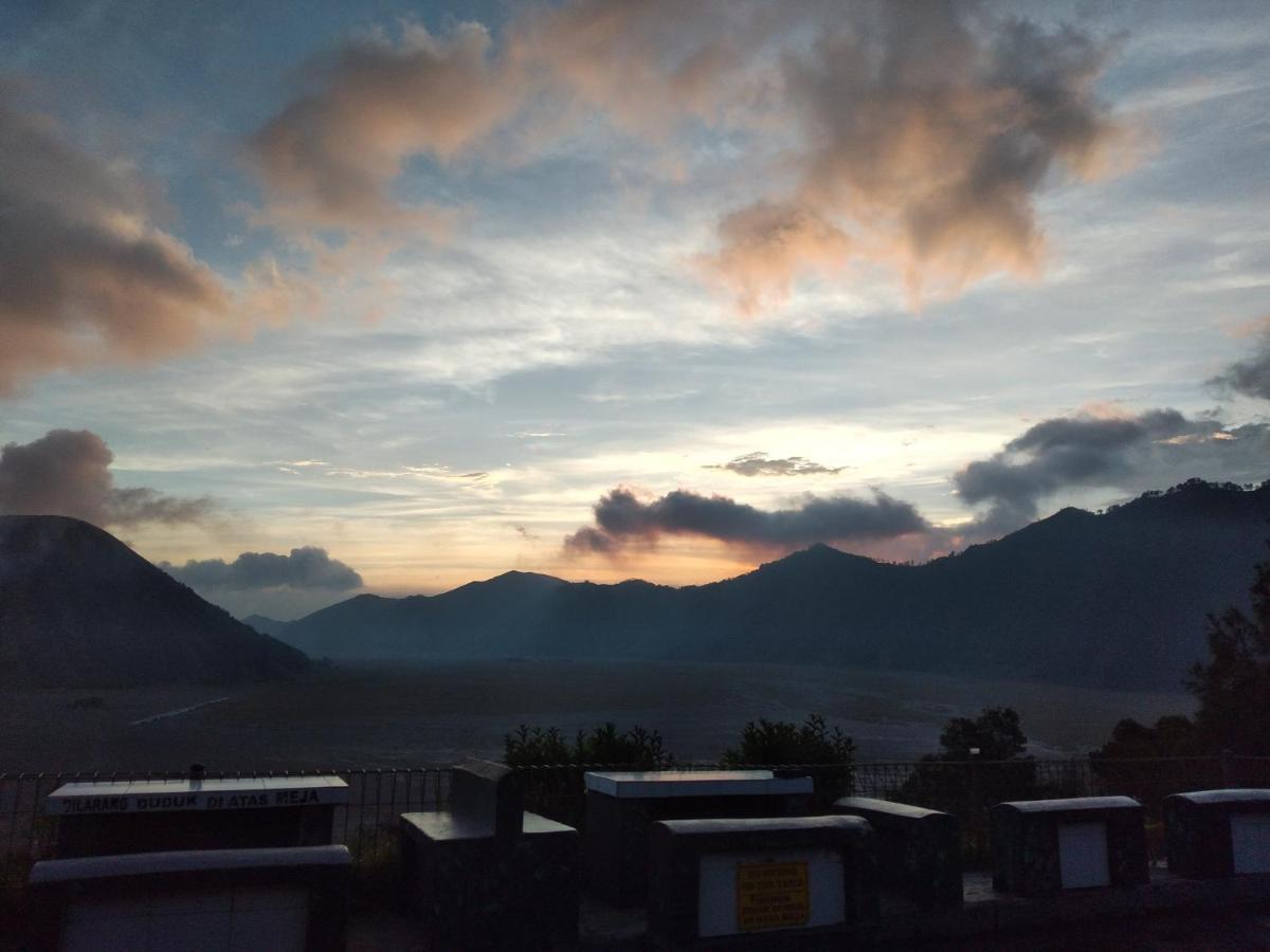 Cemara Indah Hotel Bromo Exteriér fotografie