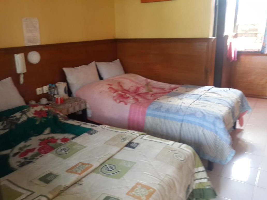 Cemara Indah Hotel Bromo Exteriér fotografie