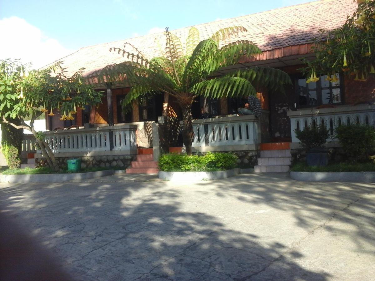 Cemara Indah Hotel Bromo Exteriér fotografie
