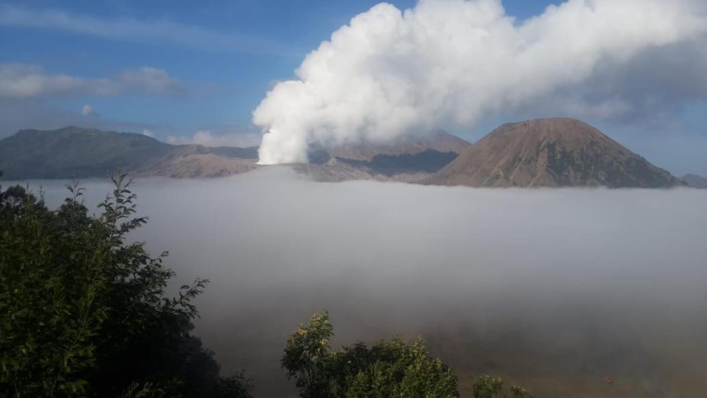 Cemara Indah Hotel Bromo Exteriér fotografie
